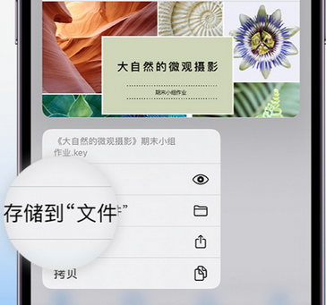 承留镇apple维修中心分享iPhone文件应用中存储和找到下载文件