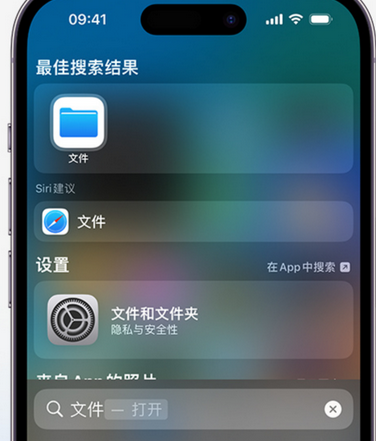 承留镇apple维修中心分享iPhone文件应用中存储和找到下载文件 