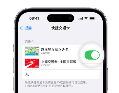 承留镇apple维修点分享iPhone上更换Apple Pay快捷交通卡手绘卡面 