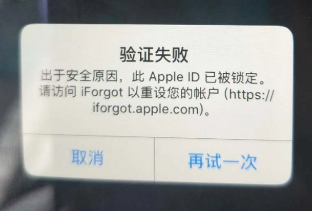 承留镇iPhone维修分享iPhone上正常登录或使用AppleID怎么办 