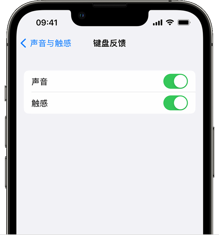 承留镇苹果14维修店分享如何在 iPhone 14 机型中使用触感键盘 