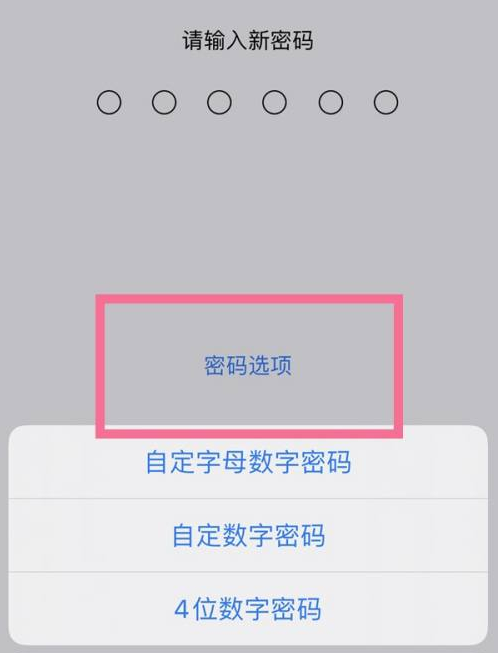 承留镇苹果14维修分享iPhone 14plus设置密码的方法 