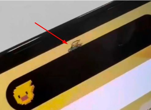 承留镇苹果14维修分享iPhone 14 Pro Max灵动岛怎么养宠物 