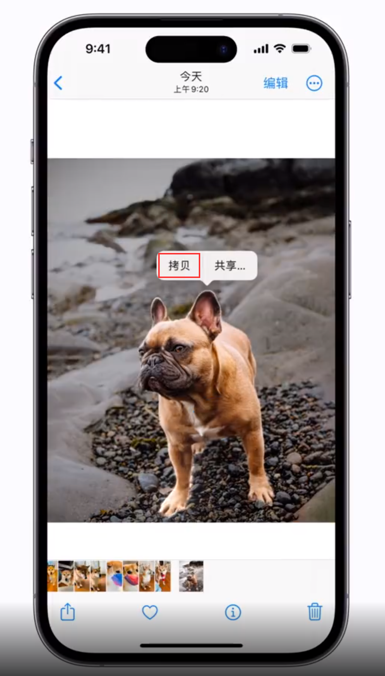 承留镇苹果手机维修分享 iOS 16 自带一键抠图功能 
