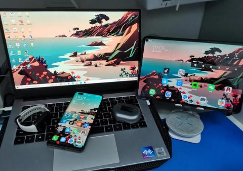 承留镇苹果手机维修分享为什么iPad屏幕更大价格却比iPhone低 