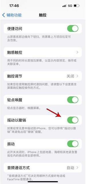 承留镇苹果手机维修分享iPhone手机如何设置摇一摇删除文字 