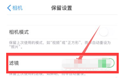 承留镇苹果13维修分享iPhone13拍照有绿点是怎么回事 