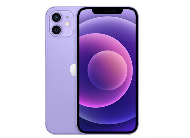 承留镇苹果手机维修分享现阶段要不要入手紫色版iPhone12 